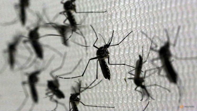 What is Zika and what are the health risks? What is Zika and what are the health risks?