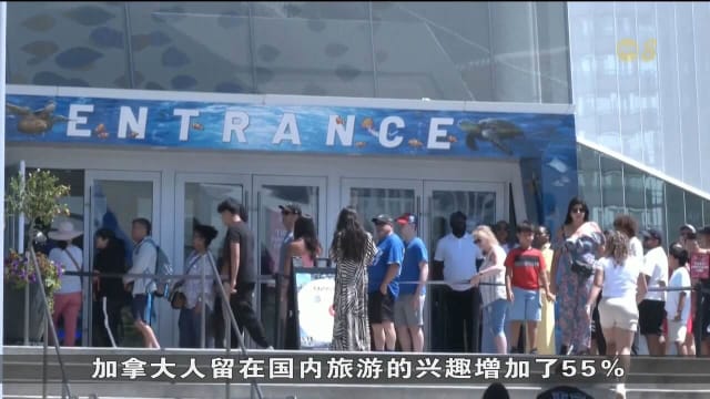 受特朗普关税言论影响 加拿大游客减少赴美转向国内游