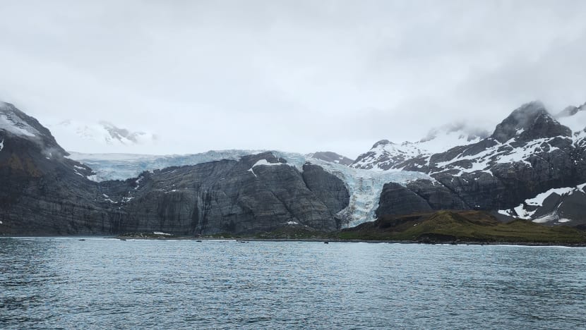 Related article image