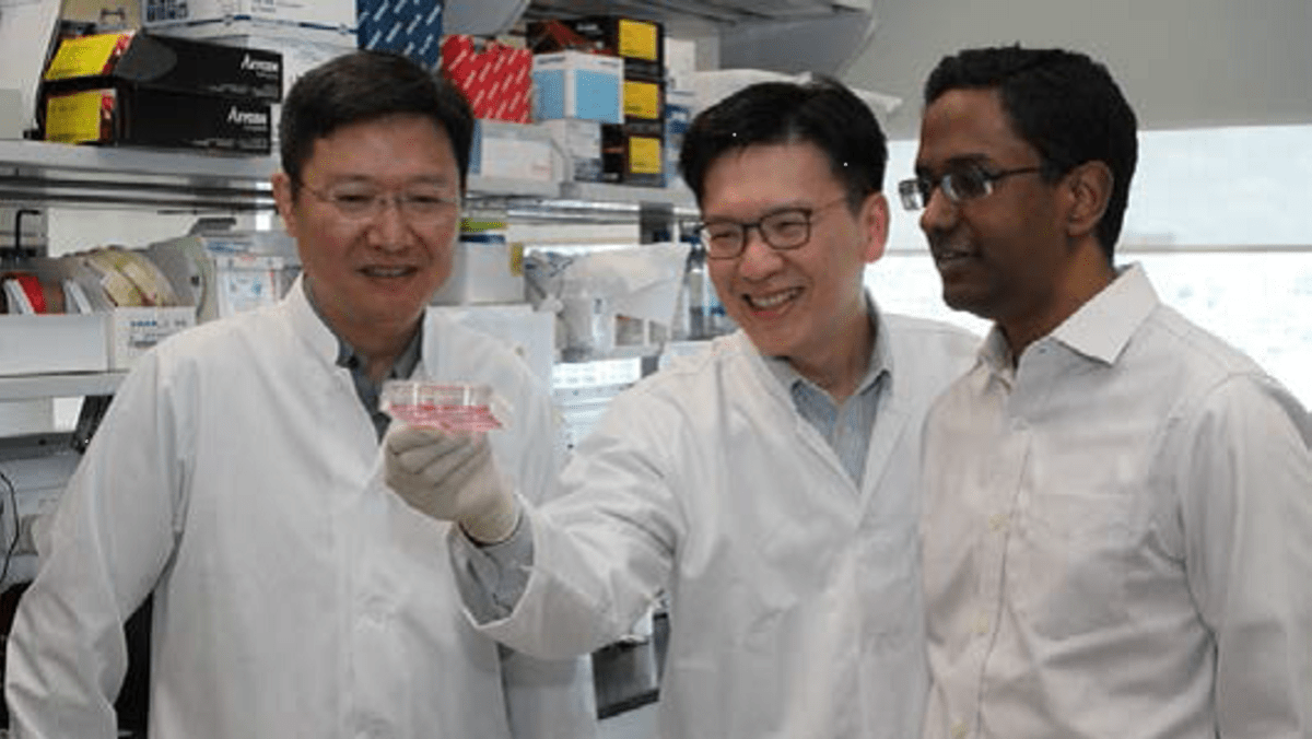 Singapore researchers devise way to test potential drug side effects ...