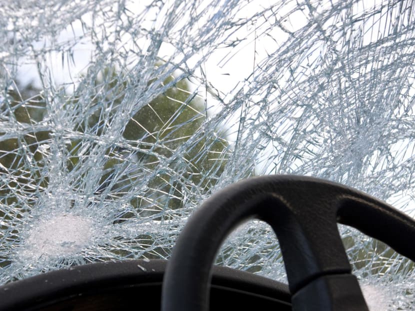 Nguyen Duc Thien, 34, had pleaded guilty to two counts of mischief and one count of breaching Covid-19 rules.