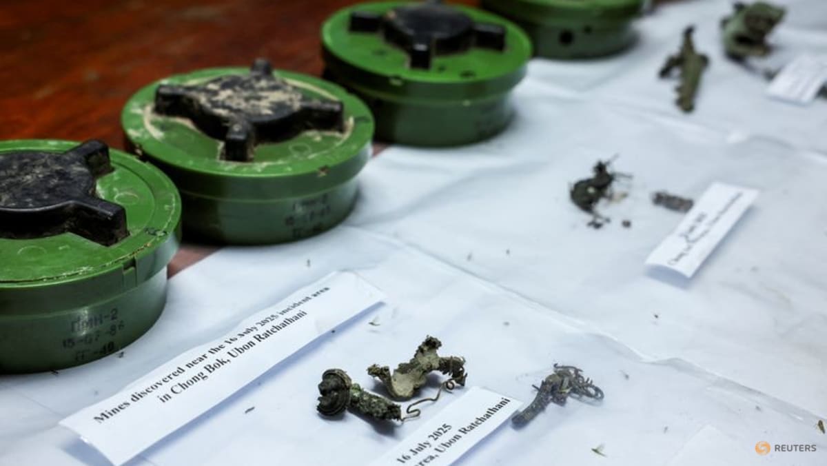 Landmines that sparked Thai-Cambodia clash were likely newly laid, experts say