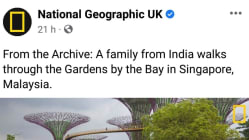 Related article image