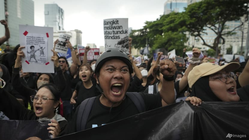 Commentary: Discontent is rising among Indonesia’s youth. Prabowo would do well to take heed Commentary: Discontent is rising among Indonesia’s youth. Prabowo would do well to take heed