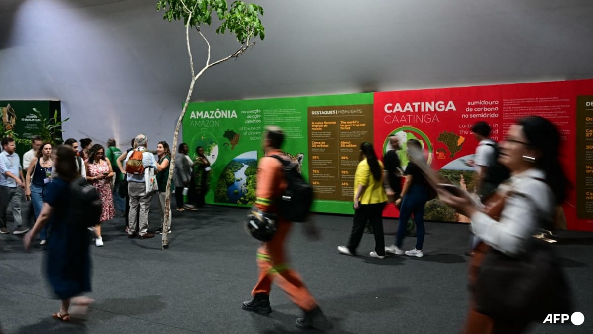 US state leaders take stage at UN climate summit – without Trump