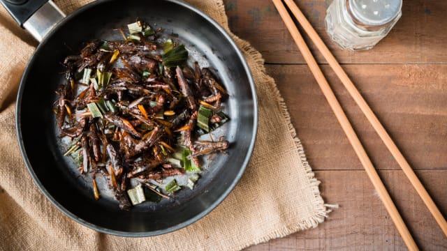 吃虾过敏者也不宜食！你对吃昆虫还有什么疑问？