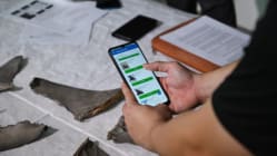 Related article image