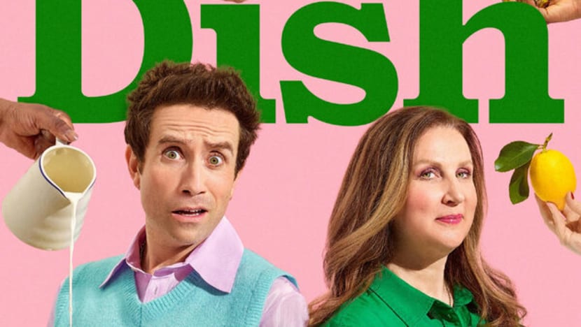 DISH REVAMP CNA - Introducing...Dish