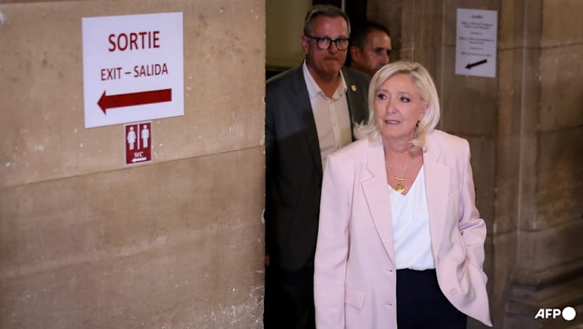France's Le Pen cleared to run for president but with ankle tag