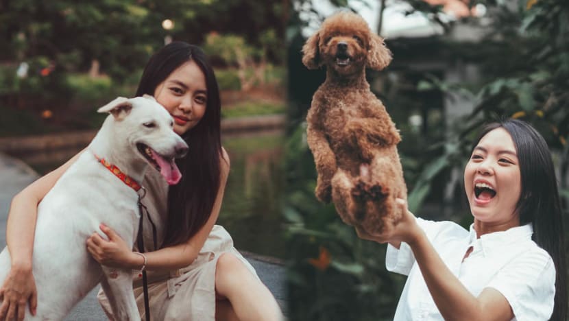 #ConsiderAdoption: Chantalle Ng opens up about her 'mum guilt' towards her dogs #ConsiderAdoption: Chantalle Ng opens up about her 'mum guilt' towards her dogs