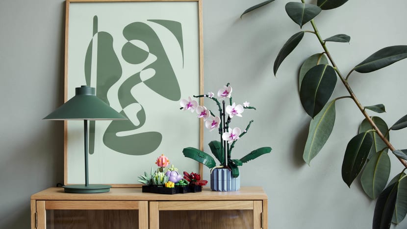 These Lego Plants Are The Perfect Addition To Your Home If You’ve Been Killing All Your (Real) Plants 