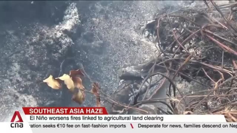 Southeast Asia haze: Malaysia calls on ASEAN to revisit its decades-old transboundary haze pact