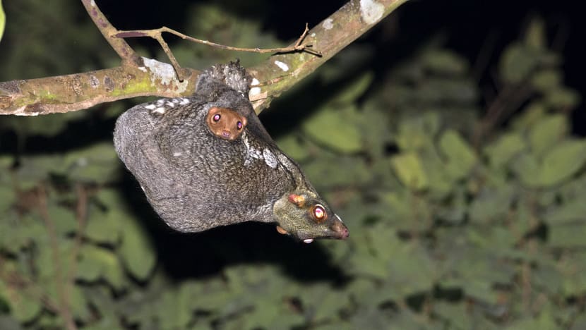 Related article image