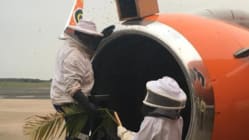 Related article image