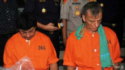 Related article image