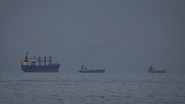 日本促伊朗保障霍尔木兹通行安全