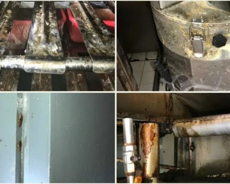 Ho Kee Pau supplier fined S$8,500 over hygiene lapses including pest infestations