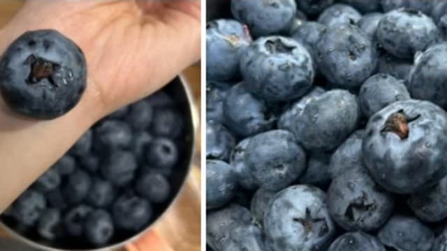 “超大蓝莓”中国走红 过量食用引发不适