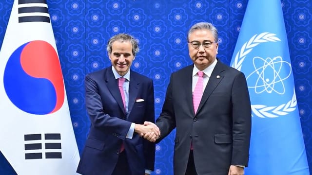 国际原子能机构总干事访韩