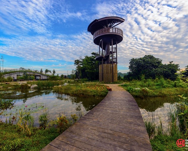 Rich biodiversity on offer as Kranji Marshes open