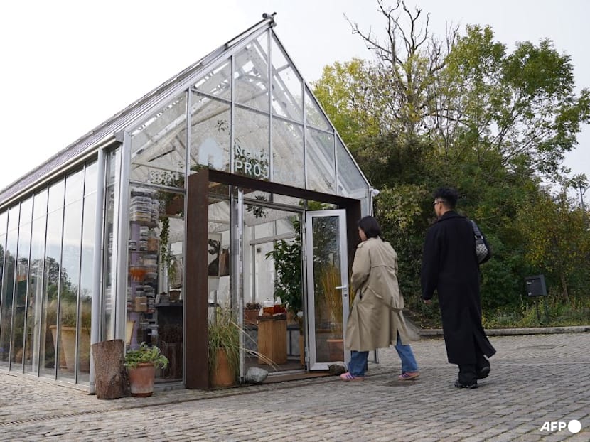 Denmark's fabled restaurant noma sells products to amateur cooks