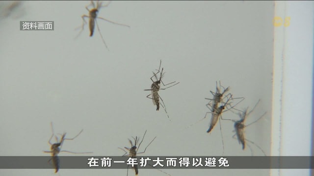 新研究：可提前两个月预测骨痛热症暴发