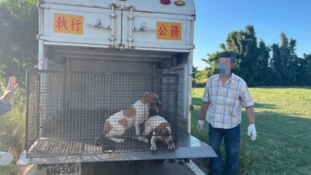 越南女涉于台湾杀数百只狗卖肉 儿子亲眼目睹后曝光