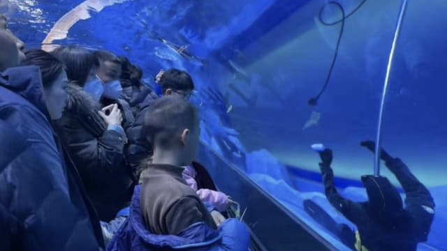 中国潜水员海洋馆内溺亡 游客：以为是假人