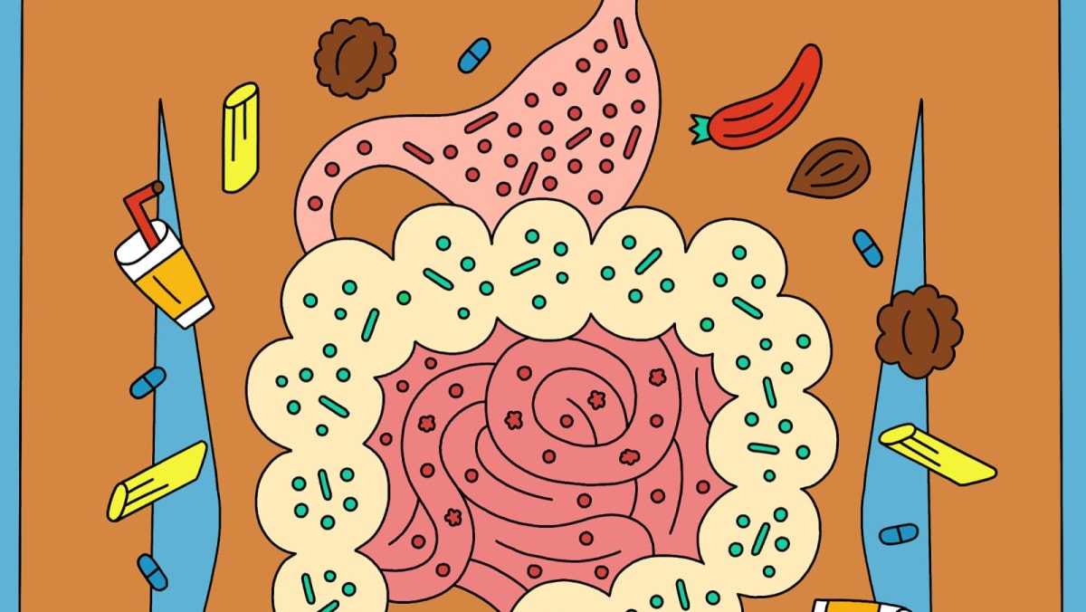 10 gut myths corrected: What you need to know about probiotics, leaky gut and more