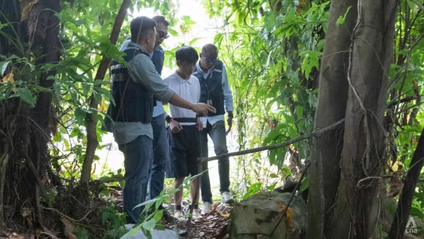 Sindiket asing dikaitkan dengan kes pecah rumah di Bukit Timah; polis buru 14 warga China Sindiket asing dikaitkan dengan kes pecah rumah di Bukit Timah; polis buru 14 warga China