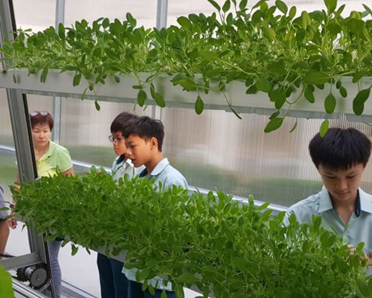 Singapore and other cities have to think outside the box in food production