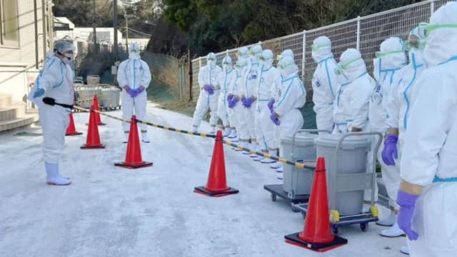 日本政府宣布禽流感疫情已正式结束