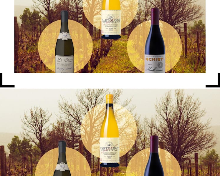 Why South African wines are a must-add to your wine collection: We pick 8 of the best