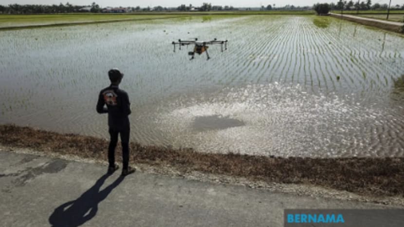 Teknologi dron bantu pesawah jadikan pertanian lebih mudah Teknologi dron bantu pesawah jadikan pertanian lebih mudah