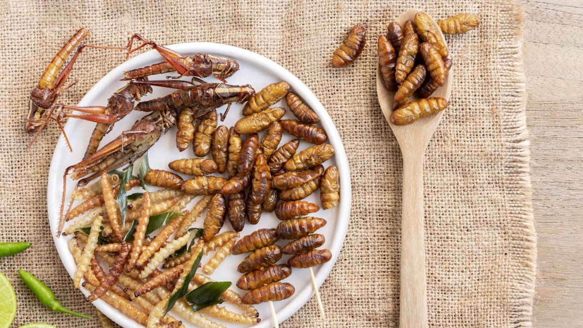 Supra Insect Grasshoppers and superworms among 16 insect species approved as food in ...