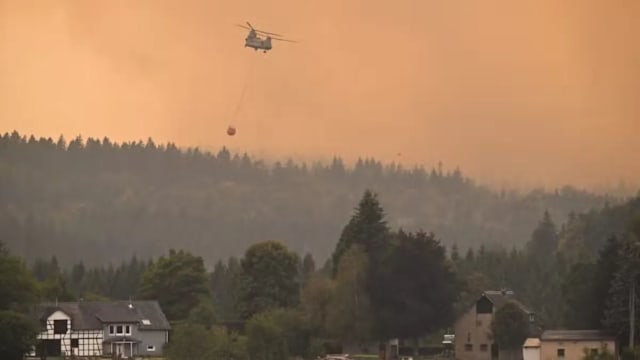 比利时林火跨境蔓延 德国蒙绍紧急疏散居民