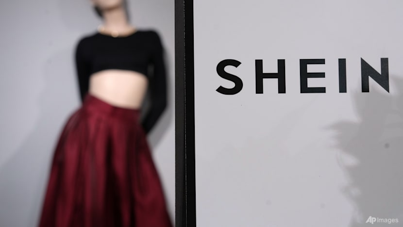 French court rules against Shein suspension over sex doll sales, government to appeal 