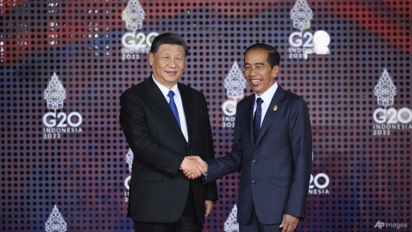 Jokowi and Xi witness trial of China-made high-speed train in Indonesia