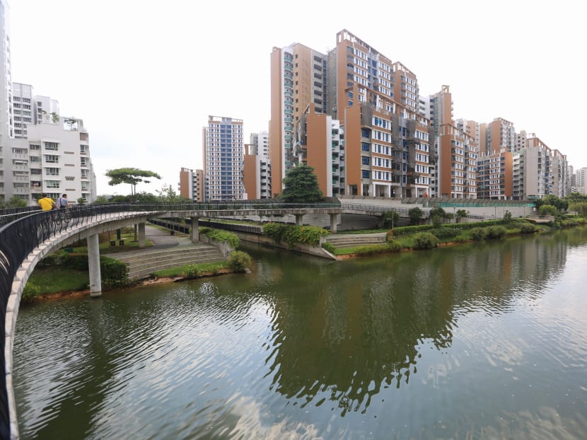 Biodiversity thriving on artificial Punggol waterway