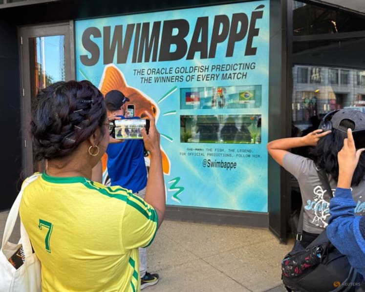 Goldfish Swimbappe's World Cup predictions make a splash in Toronto