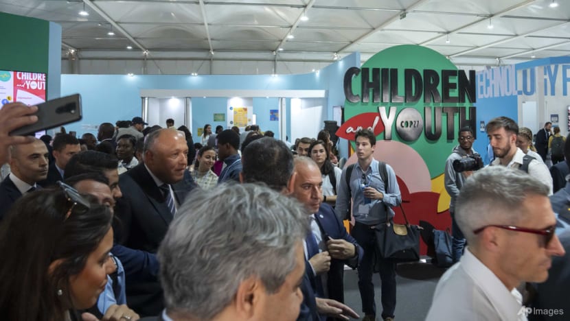 Youths at COP27 share their climate worries and hopes