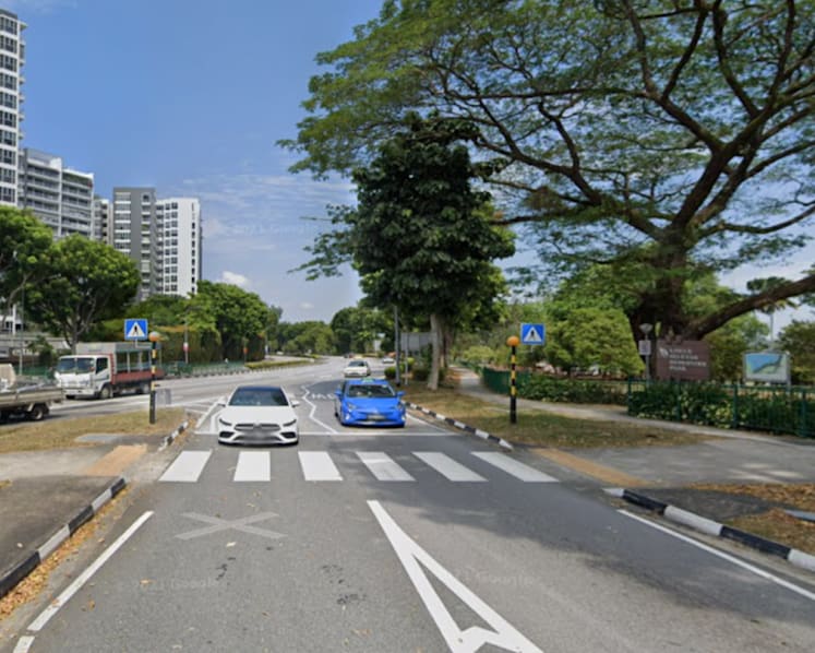 'A menace to road users': Maximum fine, driving ban for taxi driver who struck cyclist at zebra crossing