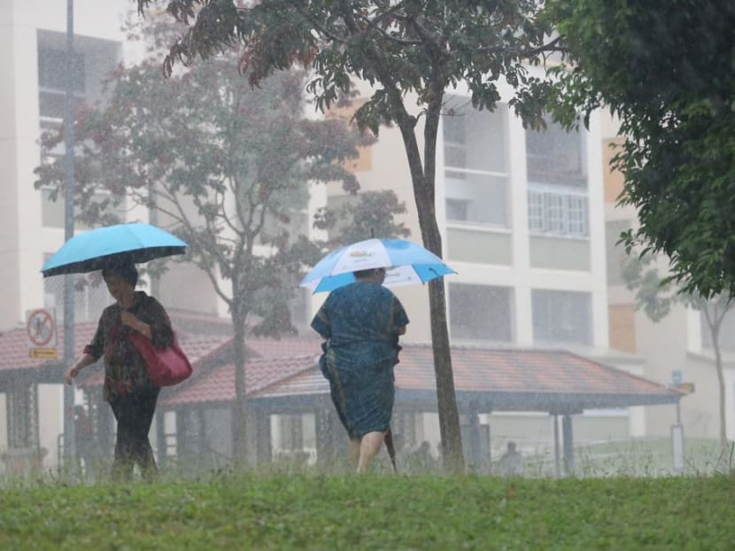 Southwest monsoon last year was the third wettest for Singapore since 1981: Met Service