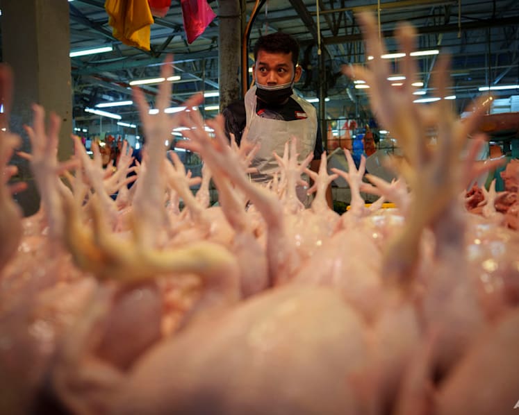 Supply of chickens in Malaysia expected to stabilise from June, says agriculture minister