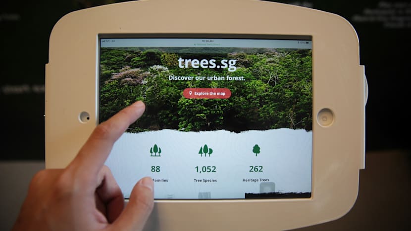 NParks launches website to help public learn more about trees