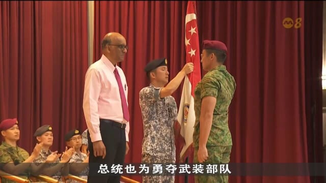 尚达曼总统首次以总统身份出席军人节检阅礼