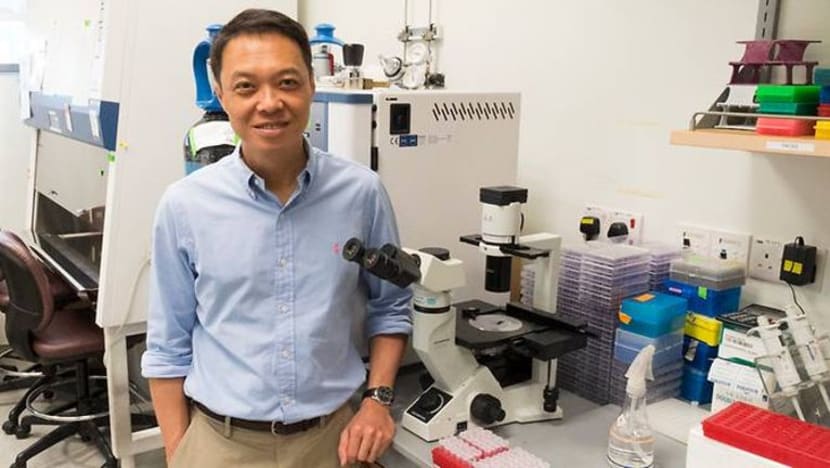 Antibodi Zika ciptaan syarikat S'pura jalani ujian manusia