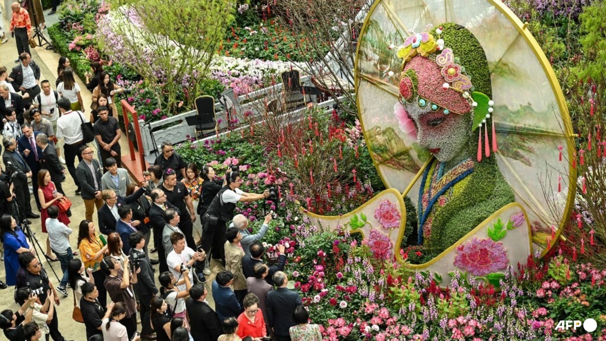 Singapore tourism spending rises to record S$23.9 billion in first three quarters of 2025