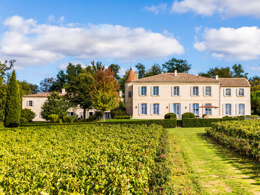 At this Bordeaux wine estate, the hogs eat Michelin-starred scraps and ducks are friends, not food