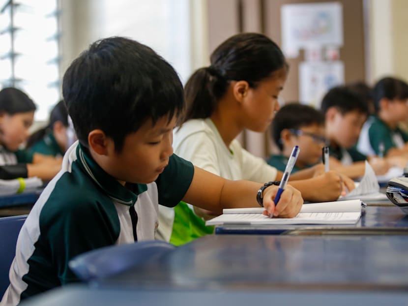 The Big Read in short: With subject-based banding, stigma be gone?